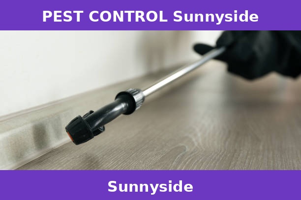 PEST CONTROL Sunnyside